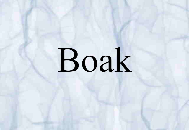 Boak (noun) Definition, Meaning & Examples