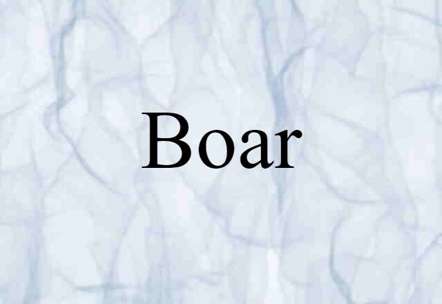 Boar (noun) Definition, Meaning & Examples