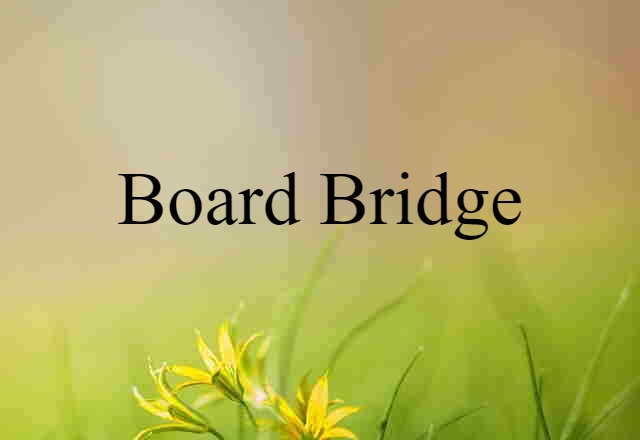 Board Bridge (noun) Definition, Meaning & Examples