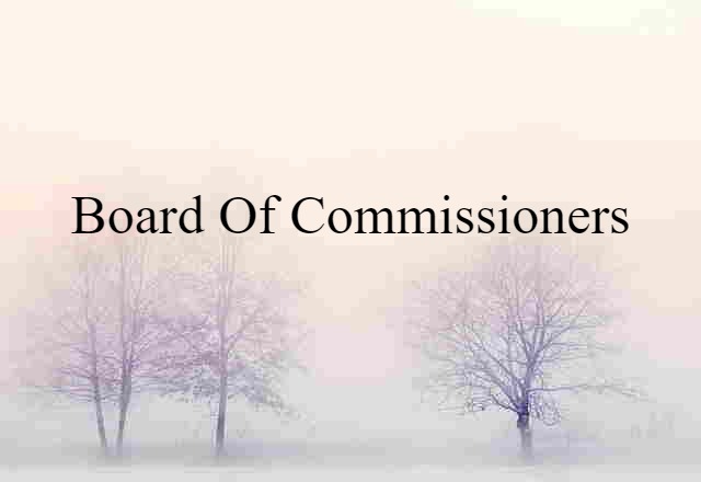 Board Of Commissioners (noun) Definition, Meaning & Examples