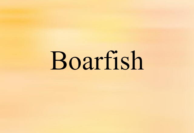 Boarfish (noun) Definition, Meaning & Examples