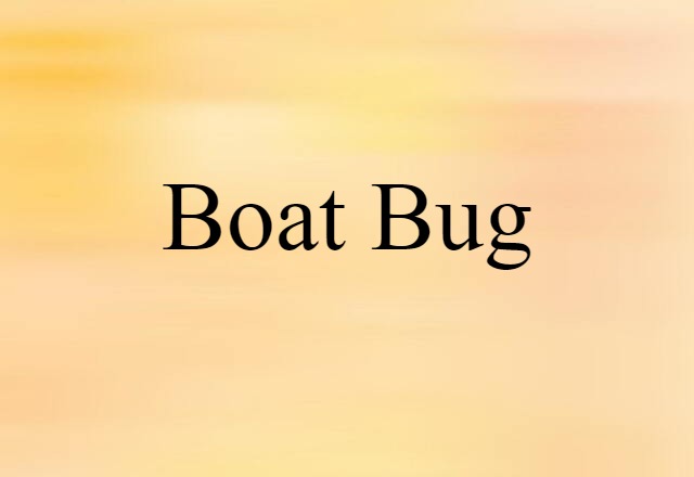 boat bug