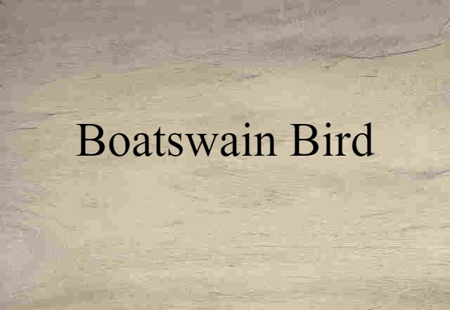 boatswain bird