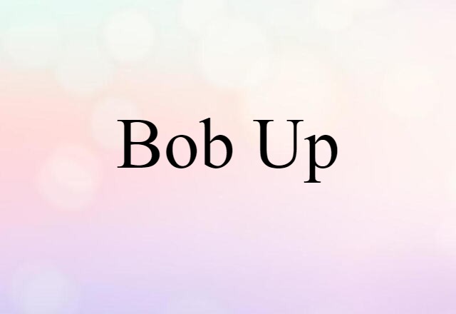 Bob Up (noun) Definition, Meaning & Examples