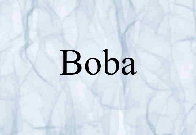 Boba (noun) Definition, Meaning & Examples