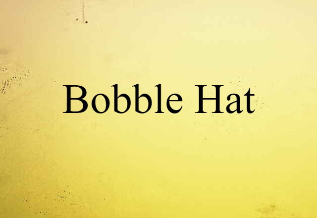 Bobble Hat (noun) Definition, Meaning & Examples