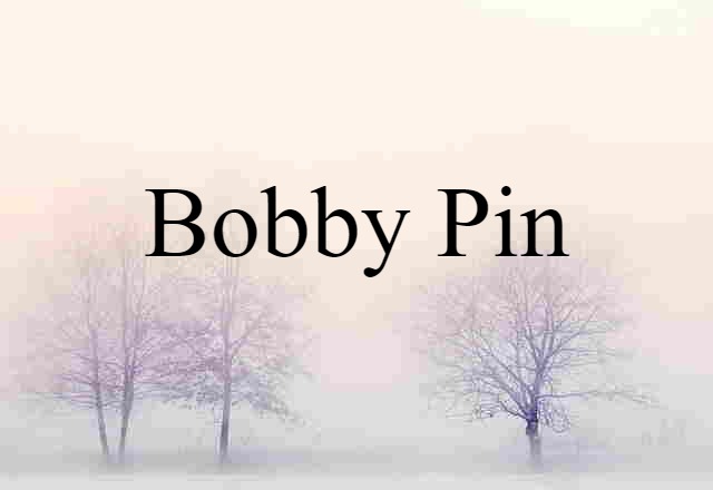 Bobby Pin (noun) Definition, Meaning & Examples