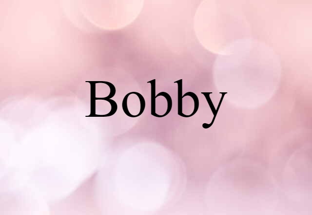 Bobby (noun) Definition, Meaning & Examples