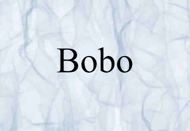 Bobo (noun) Definition, Meaning & Examples