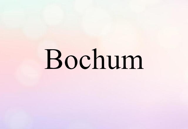 Bochum (noun) Definition, Meaning & Examples