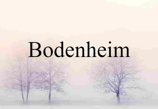 Bodenheim (noun) Definition, Meaning & Examples