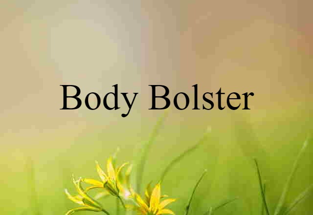 body bolster