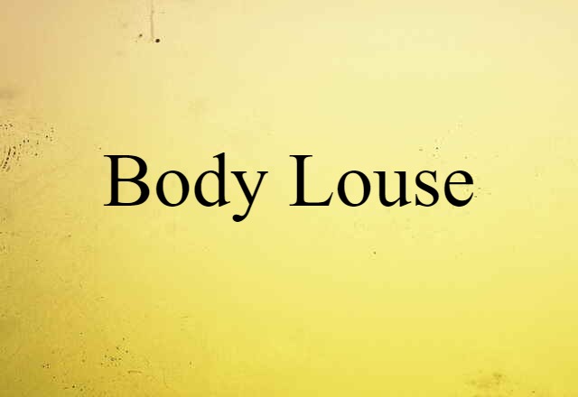 body louse