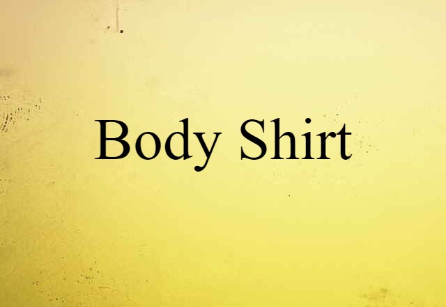 Body Shirt (noun) Definition, Meaning & Examples