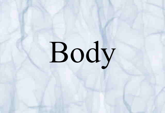 Body (noun) Definition, Meaning & Examples