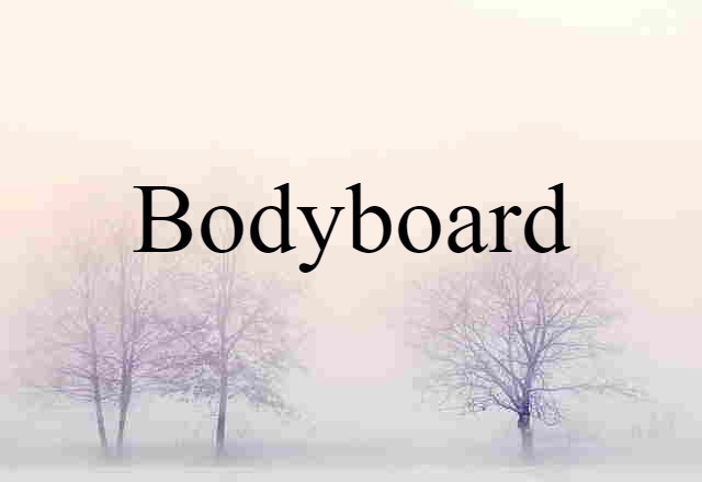 Bodyboard (noun) Definition, Meaning & Examples