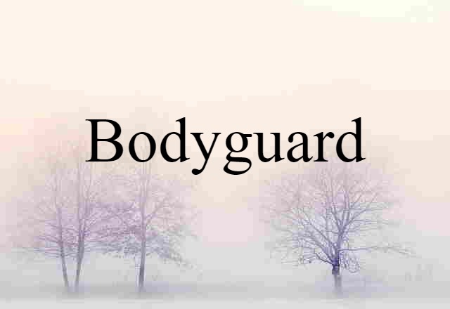 Bodyguard (noun) Definition, Meaning & Examples