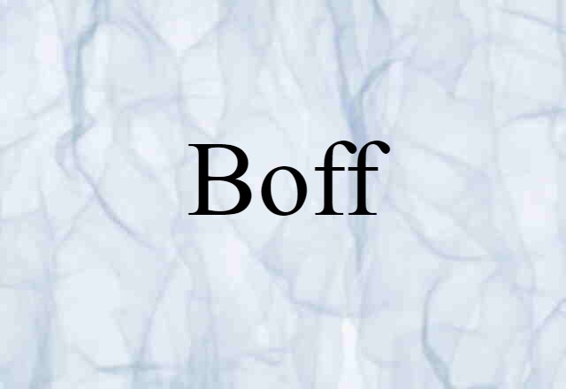 Boff (noun) Definition, Meaning & Examples