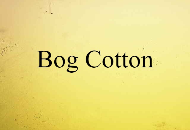 Bog Cotton (noun) Definition, Meaning & Examples