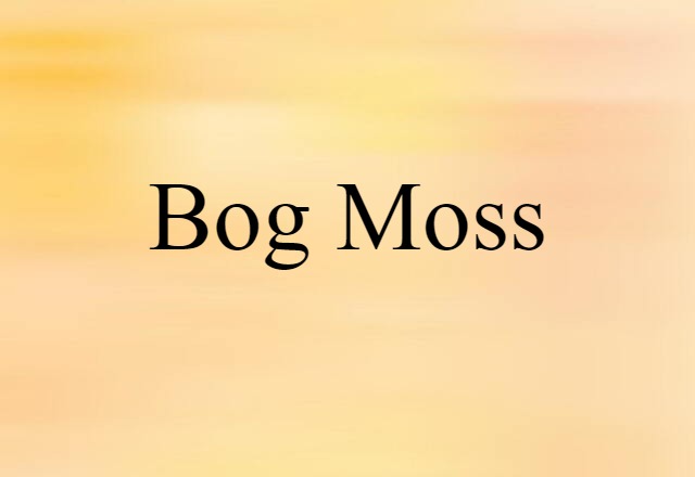 bog moss