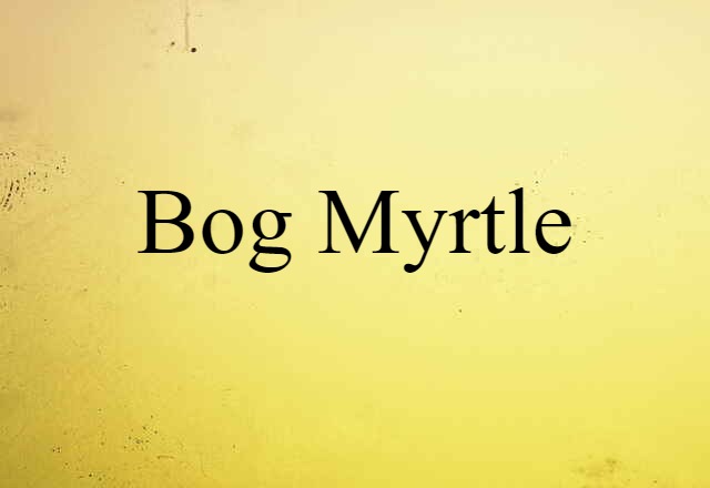 Bog Myrtle (noun) Definition, Meaning & Examples