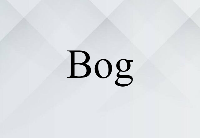 Bog (noun) Definition, Meaning & Examples