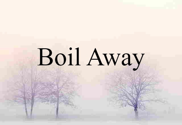 Boil Away (noun) Definition, Meaning & Examples