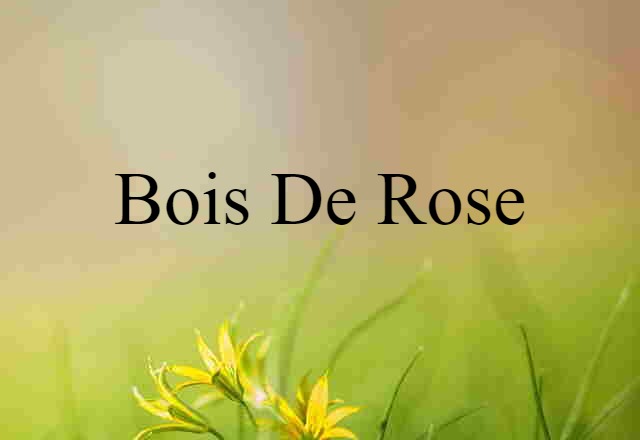 Bois De Rose (noun) Definition, Meaning & Examples