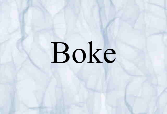 Boke (noun) Definition, Meaning & Examples