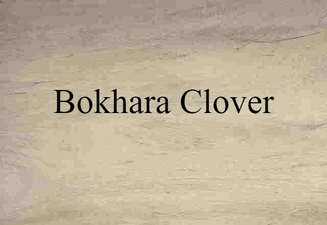 Bokhara Clover (noun) Definition, Meaning & Examples