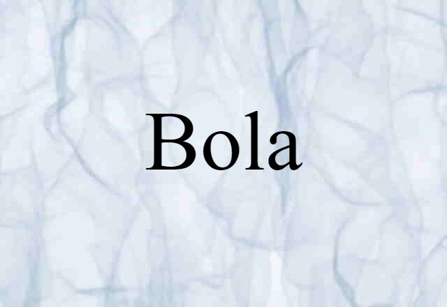 Bola (noun) Definition, Meaning & Examples