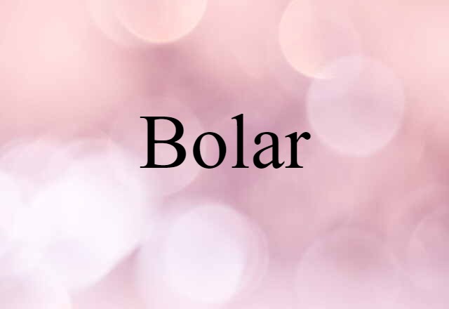 Bolar (noun) Definition, Meaning & Examples