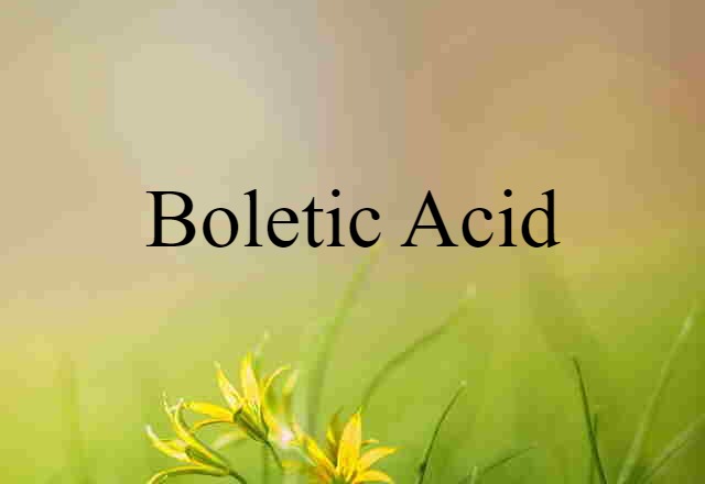 Boletic Acid (noun) Definition, Meaning & Examples