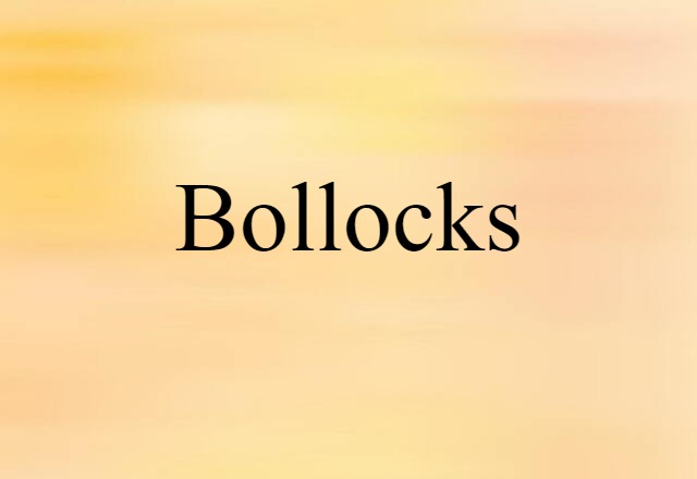 Bollocks (noun) Definition, Meaning & Examples