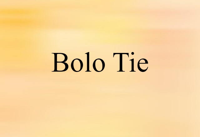 Bolo Tie (noun) Definition, Meaning & Examples