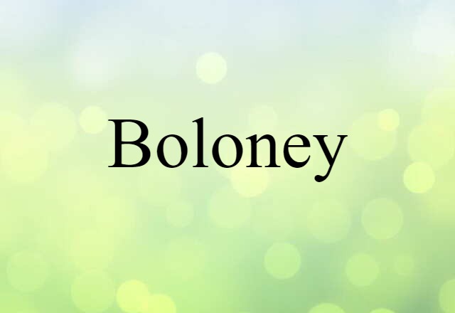 Boloney (noun) Definition, Meaning & Examples