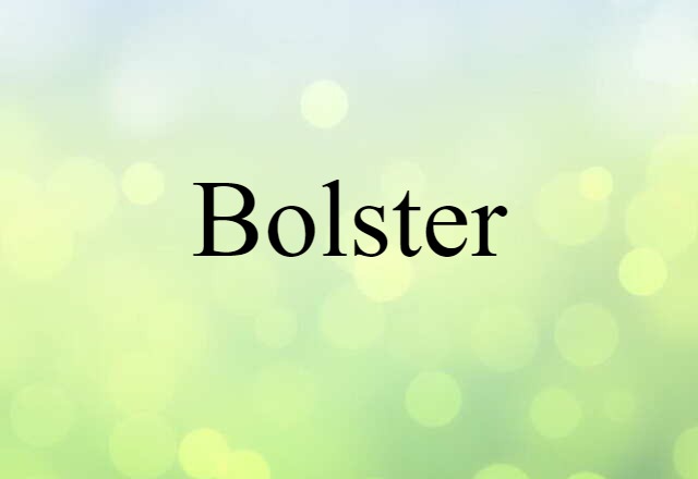 Bolster (noun) Definition, Meaning & Examples