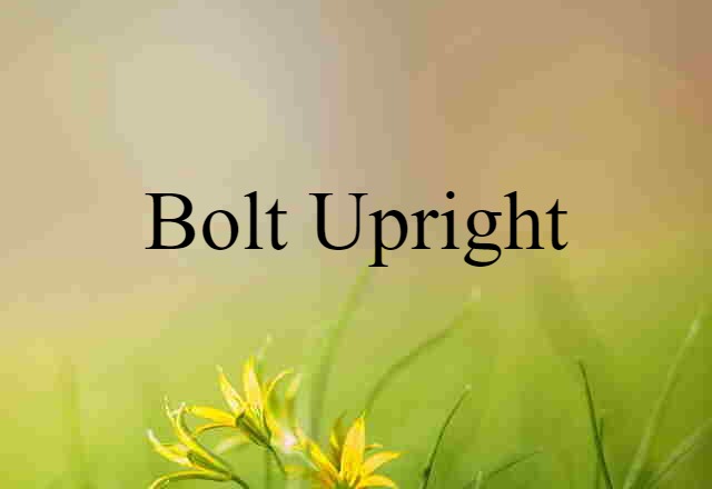 Bolt Upright (noun) Definition, Meaning & Examples