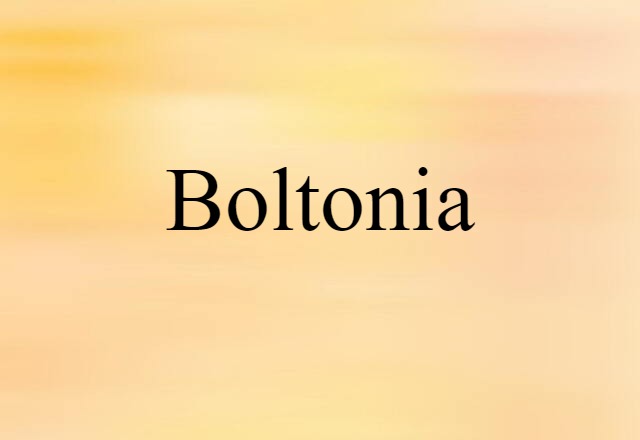 Boltonia (noun) Definition, Meaning & Examples