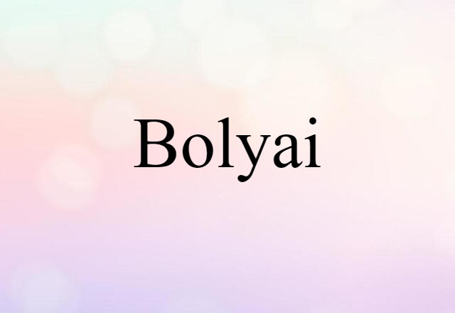 Bolyai (noun) Definition, Meaning & Examples