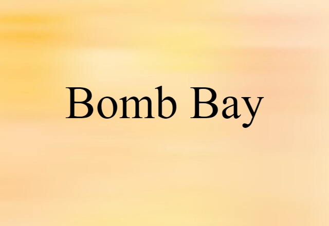 bomb bay