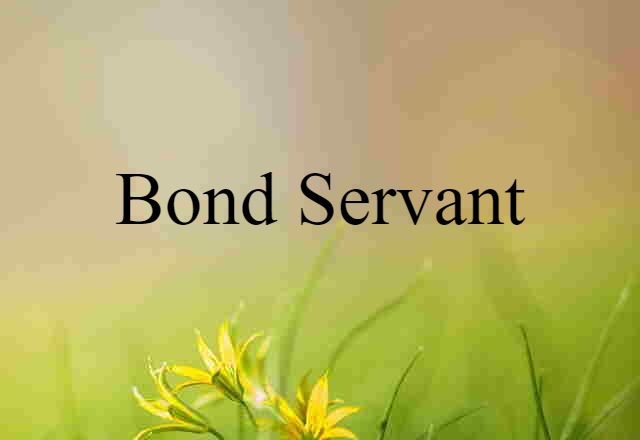 bond servant