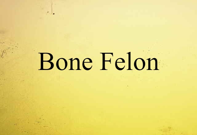 Bone Felon (noun) Definition, Meaning & Examples