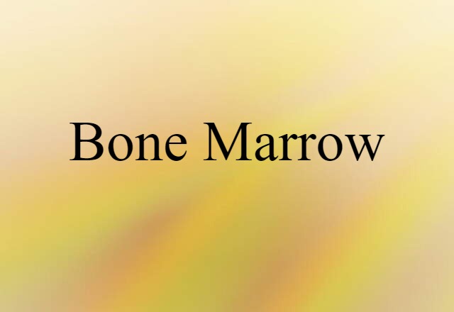 bone marrow