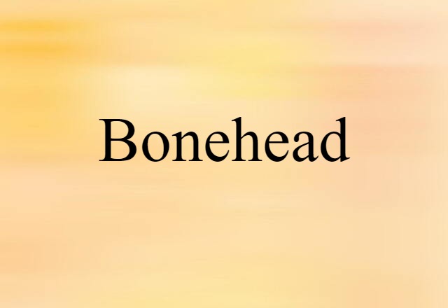 bonehead