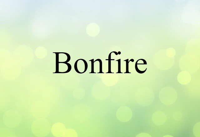 Bonfire (noun) Definition, Meaning & Examples