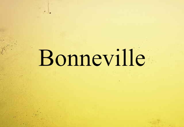 Bonneville (noun) Definition, Meaning & Examples