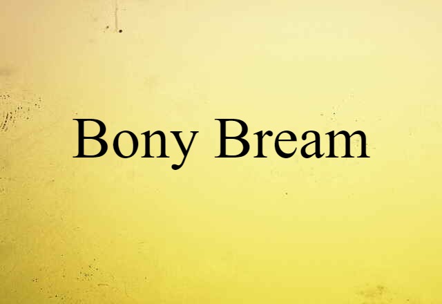 Bony Bream (noun) Definition, Meaning & Examples