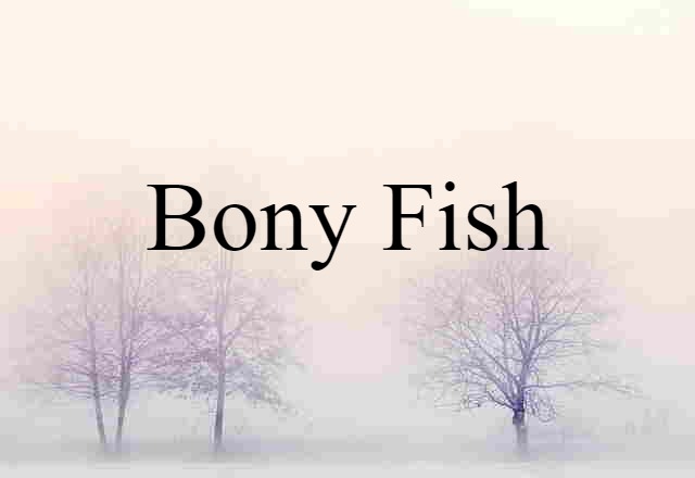 Bony Fish (noun) Definition, Meaning & Examples