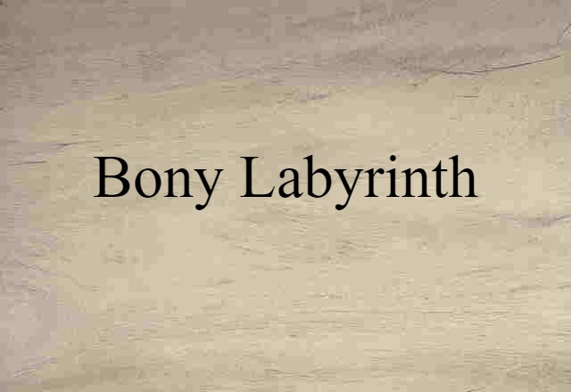 bony labyrinth